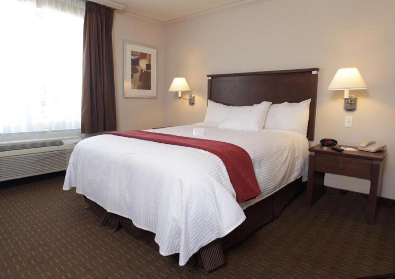 סרניה Best Western Plus Guildwood Inn מראה חיצוני תמונה